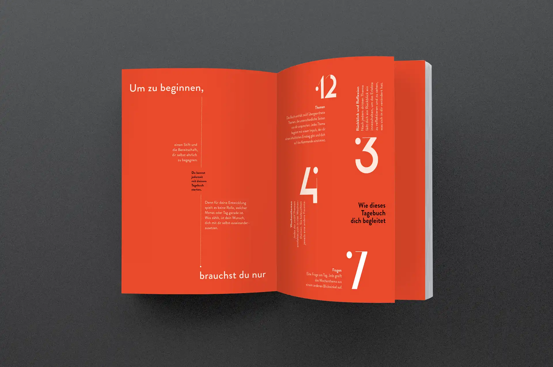 Einblick in das das einpunkt-Tagebuch - Systemisches Tagebuch - Bild 1