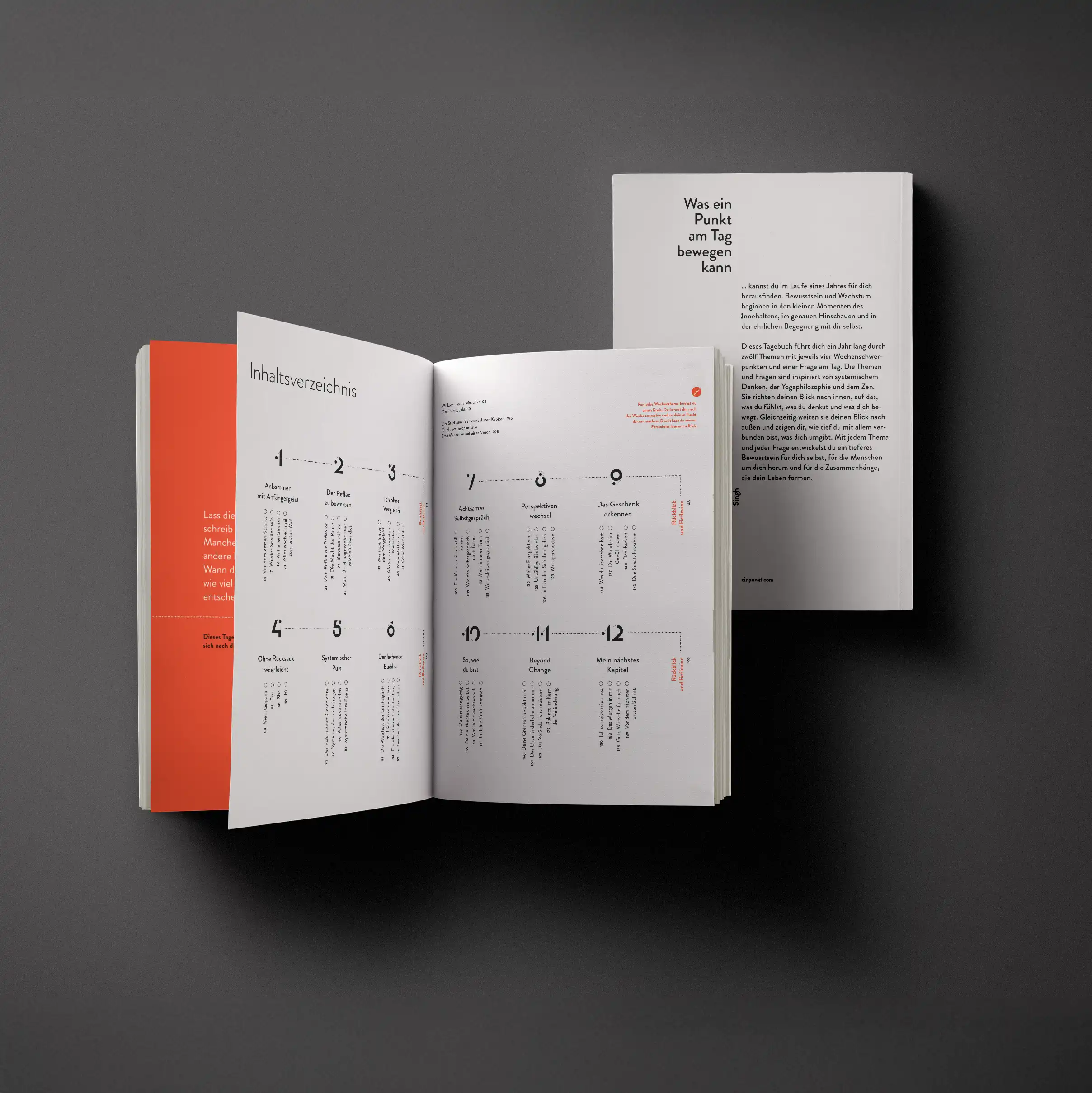 Systemisches tagebuch von einpunkt